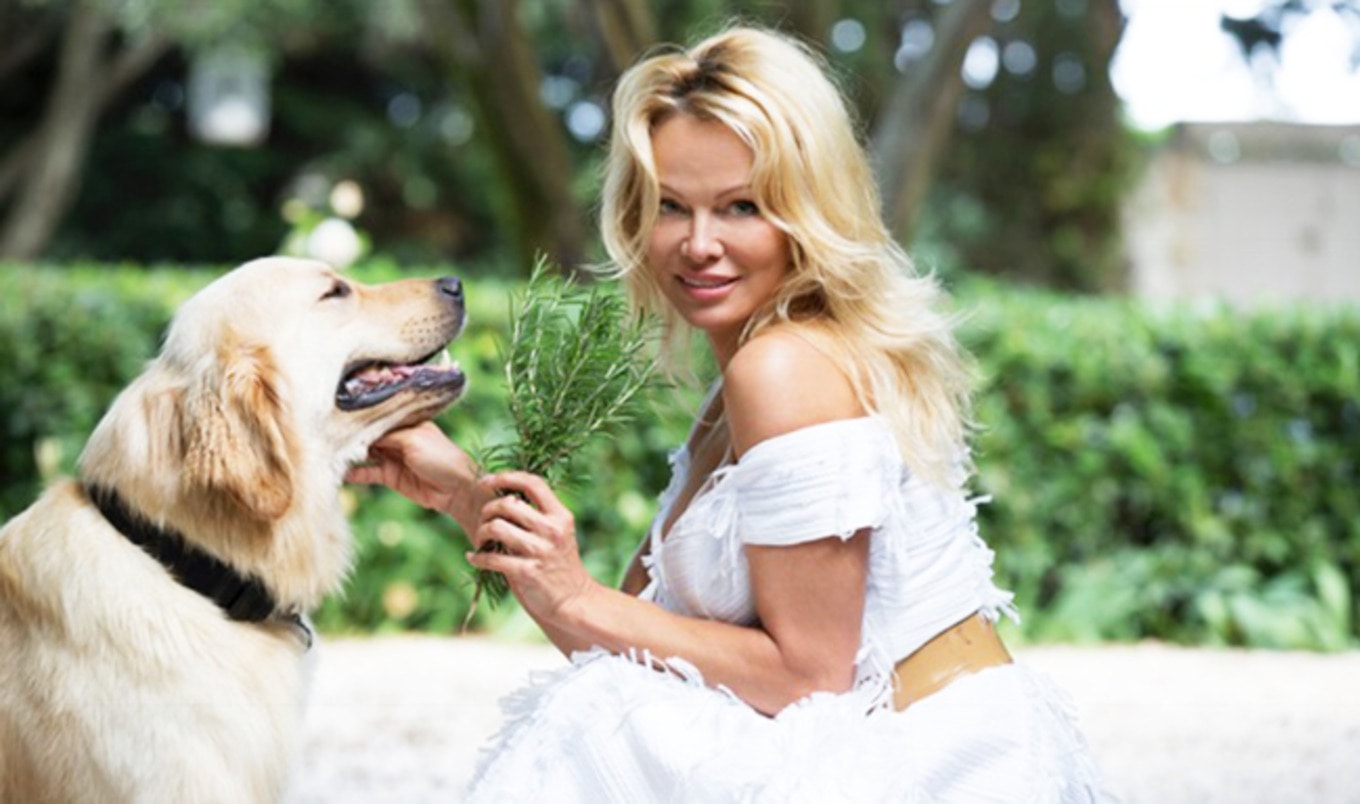 Pamela Anderson to Open Vegan Eatery in France