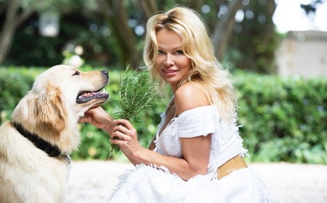Pamela Anderson to Open Vegan Eatery in France