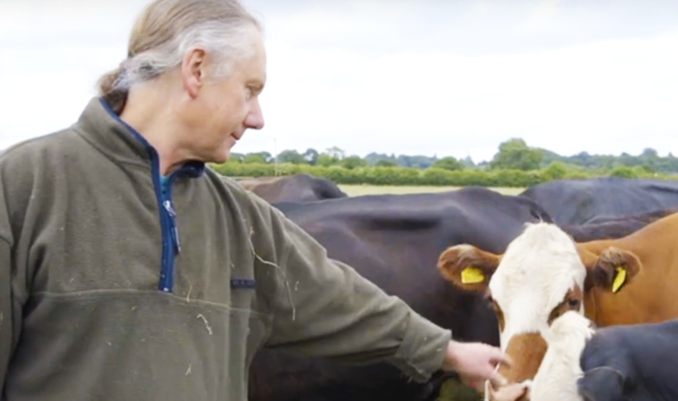 BBC Profiles Former Beef Farmer Setting Cows Free
