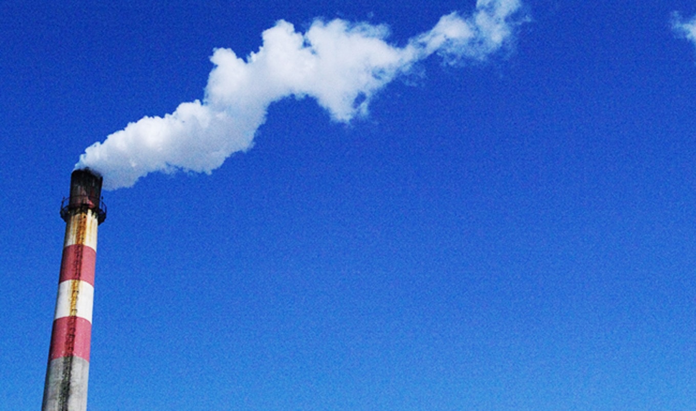 Beef-Eaters Produce Half of US Greenhouse Gases