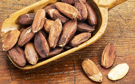 Whole Foods to Stock Mystery Nut Vegan Yogurt