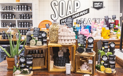 LUSH Donates Nearly $500K to End Animal Testing