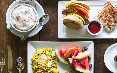 New Series "The Vegan Road Show USA" Debuts in August