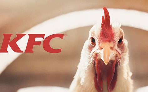 KFC's New "Whole Chicken" Commercial Backfires