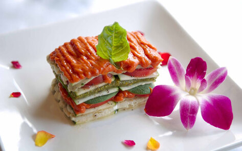 Interview with Raw Chef Ani Phyo