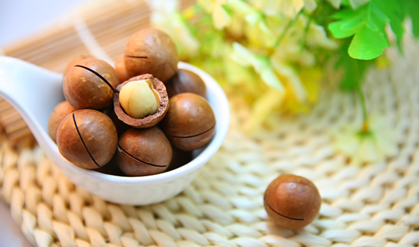 FDA Approves Macadamia Nuts' "Heart Healthy" Claim