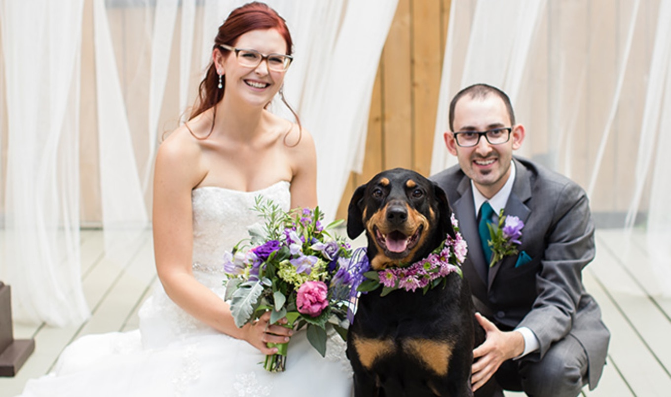 Vegan Weddings 2017: Alana Cowl & Daniel Ferens