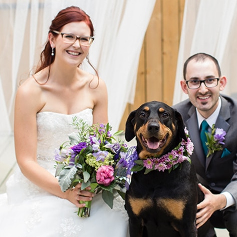 Vegan Weddings 2017: Alana Cowl & Daniel Ferens