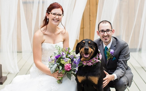 Vegan Weddings 2017: Alana Cowl &amp; Daniel Ferens