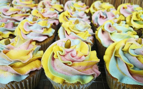 Vegan Bakery Opens in Chicago