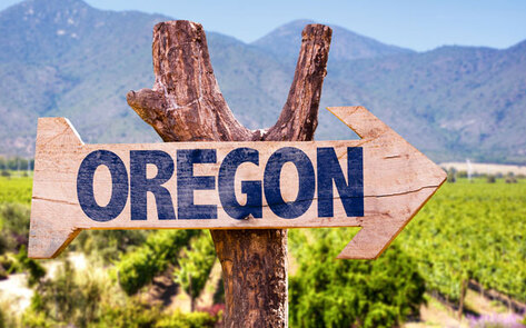 The Ultimate Oregon Vegan Wine Trip