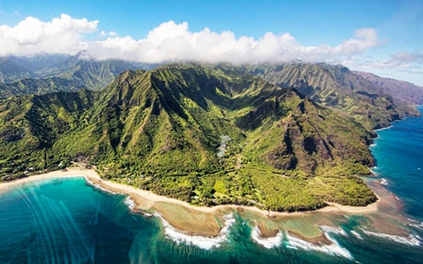 Hawaiians Fight eBay Founder's Plans to Open Dairy Farm