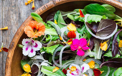 10 Edible Wildflowers Worth Picking This Summer