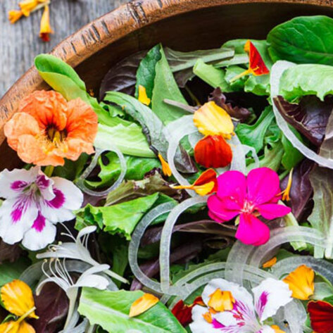 5 Ways to Cook Edible Flowers