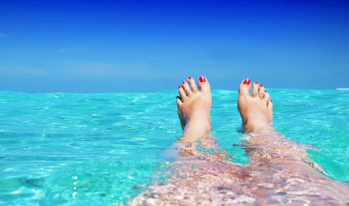 VegNews.Beach