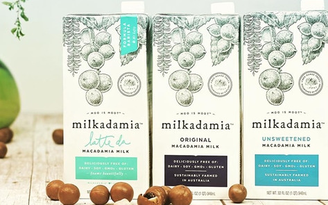 Macadamia-Based Vegan Milk Hits Walmart This Winter