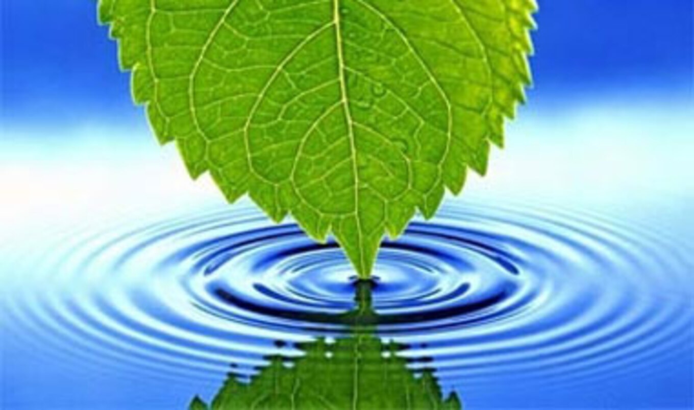 This Week's Giveaway: DC Green Festival Tickets