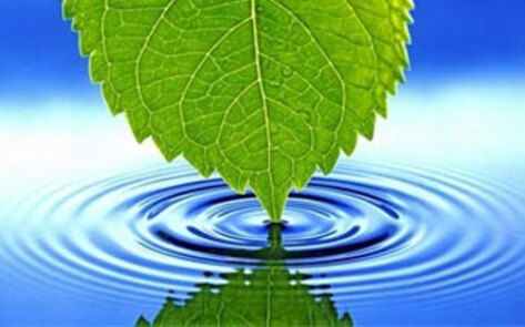 This Week's Giveaway: DC Green Festival Tickets