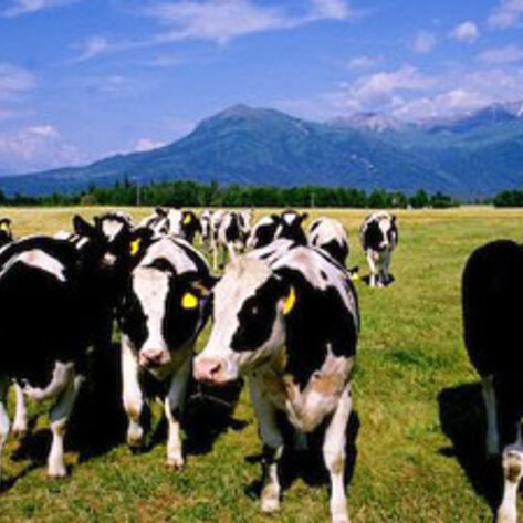 Historic Measure Passed