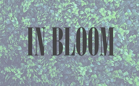 Nirvana-Themed Vegan Café Now Open in Glasgow