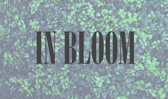 VegNewsInBloom