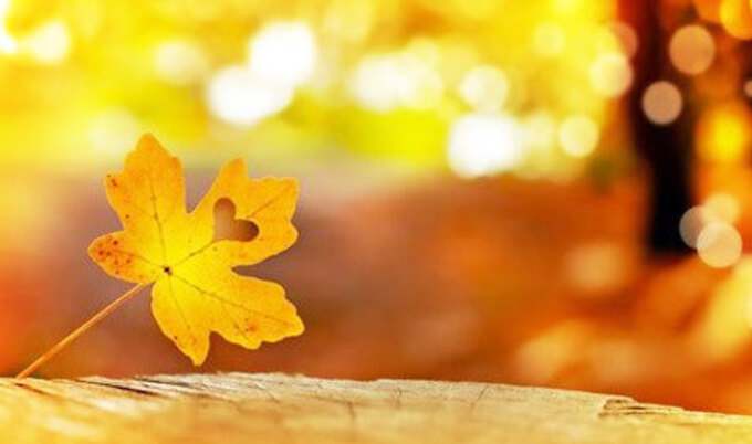 VegNews.AutumnLeafHeart