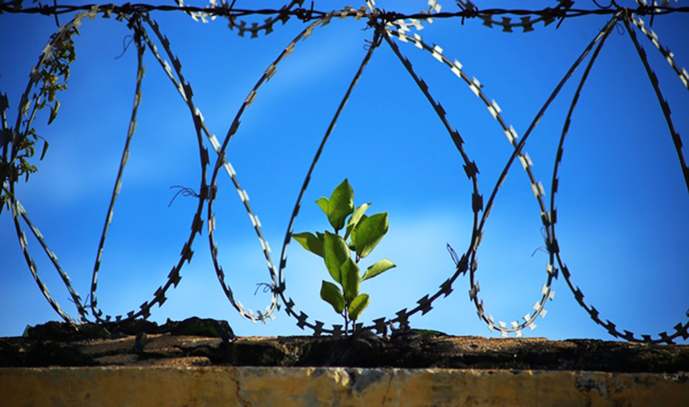 New Program Rehabilitates Inmates with Vegan Diet