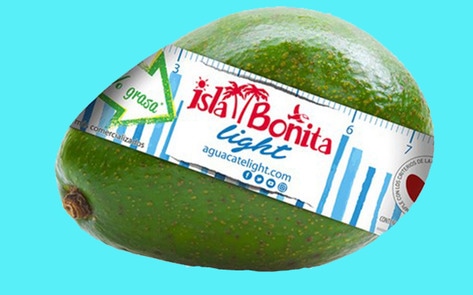 Spanish Company Invents Diet Avocado