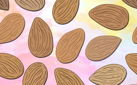 VegNews.AlmondsPattern