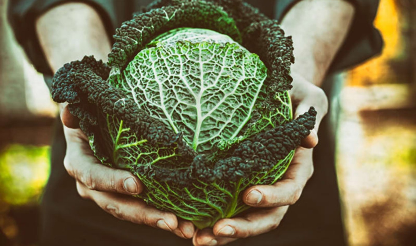 5 Life Lessons I Learned in the Prison Garden