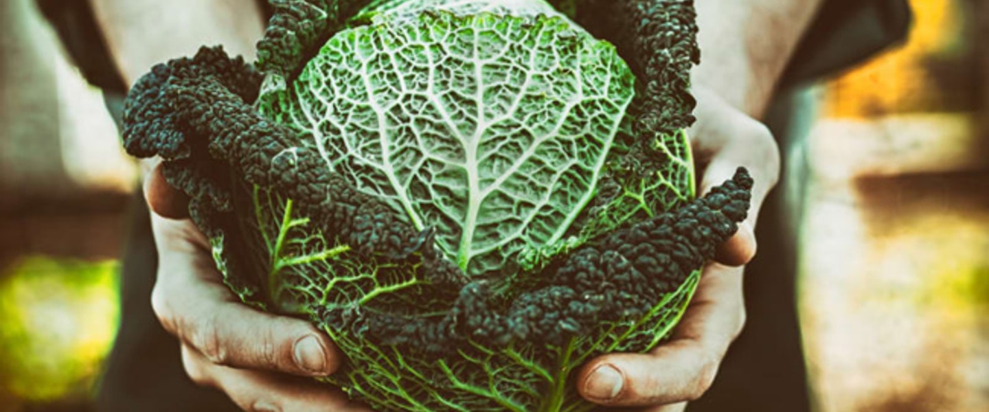 5 Life Lessons I Learned in the Prison Garden