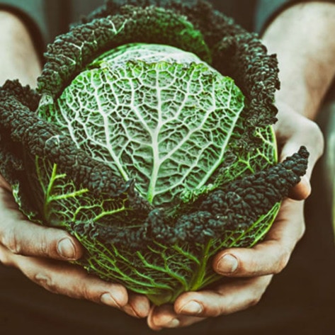 5 Life Lessons I Learned in the Prison Garden