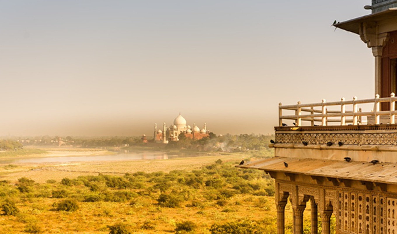 Vegan Cycles Across India to Promote Animal Rights