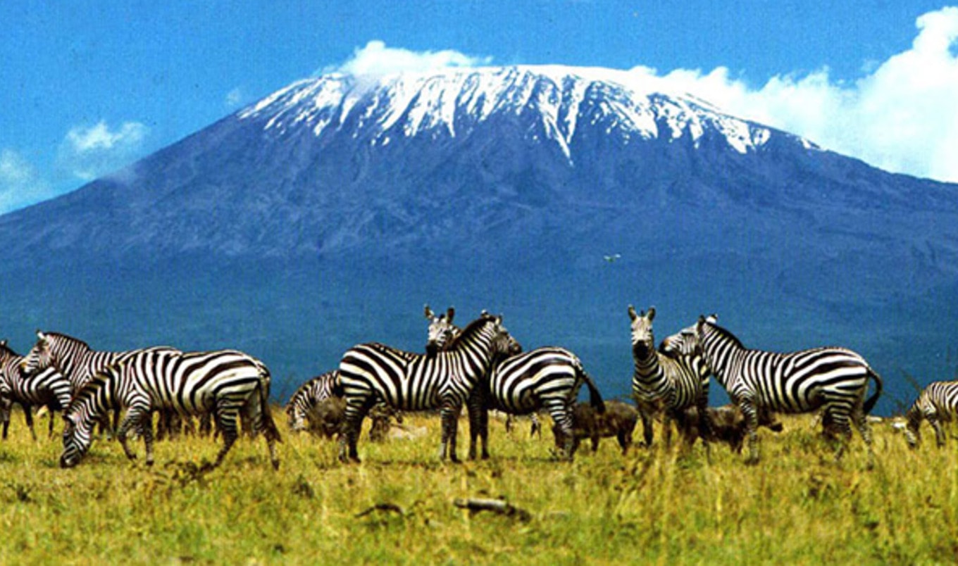 First All-Vegan Kilimanjaro Trek Begins in February