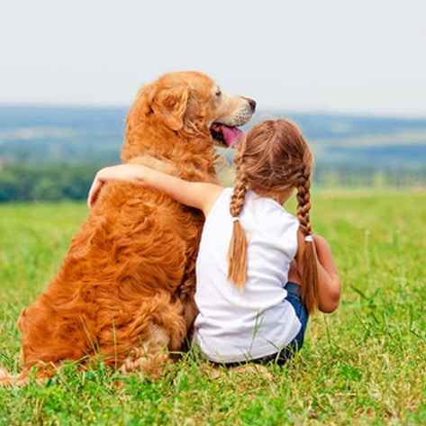 4 Incredible Ways Animals Can Help Your Child in Need