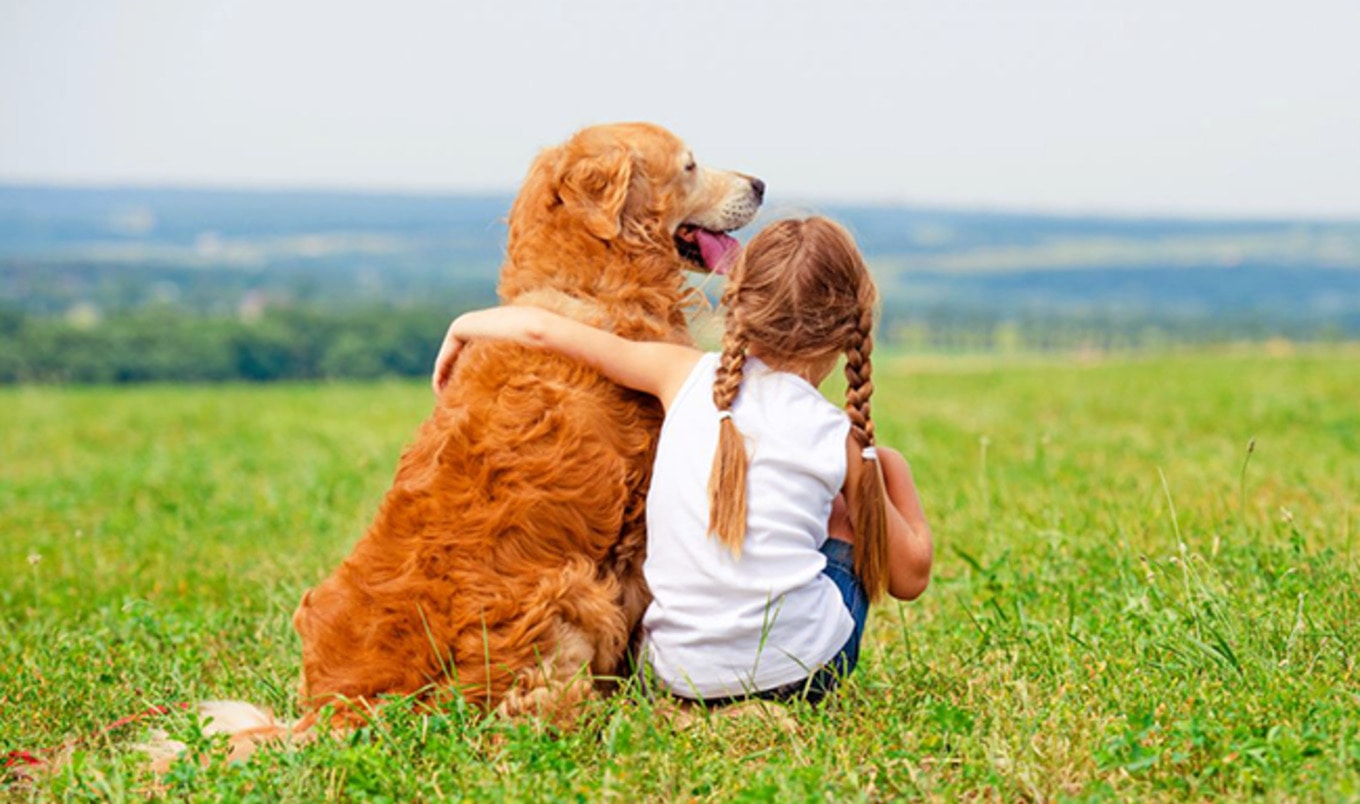 4 Incredible Ways Animals Can Help Your Child in Need | VegNews