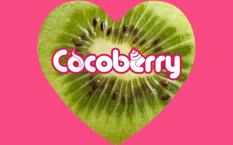 Indian Frozen Yogurt Chain Debuts Five Vegan Flavors