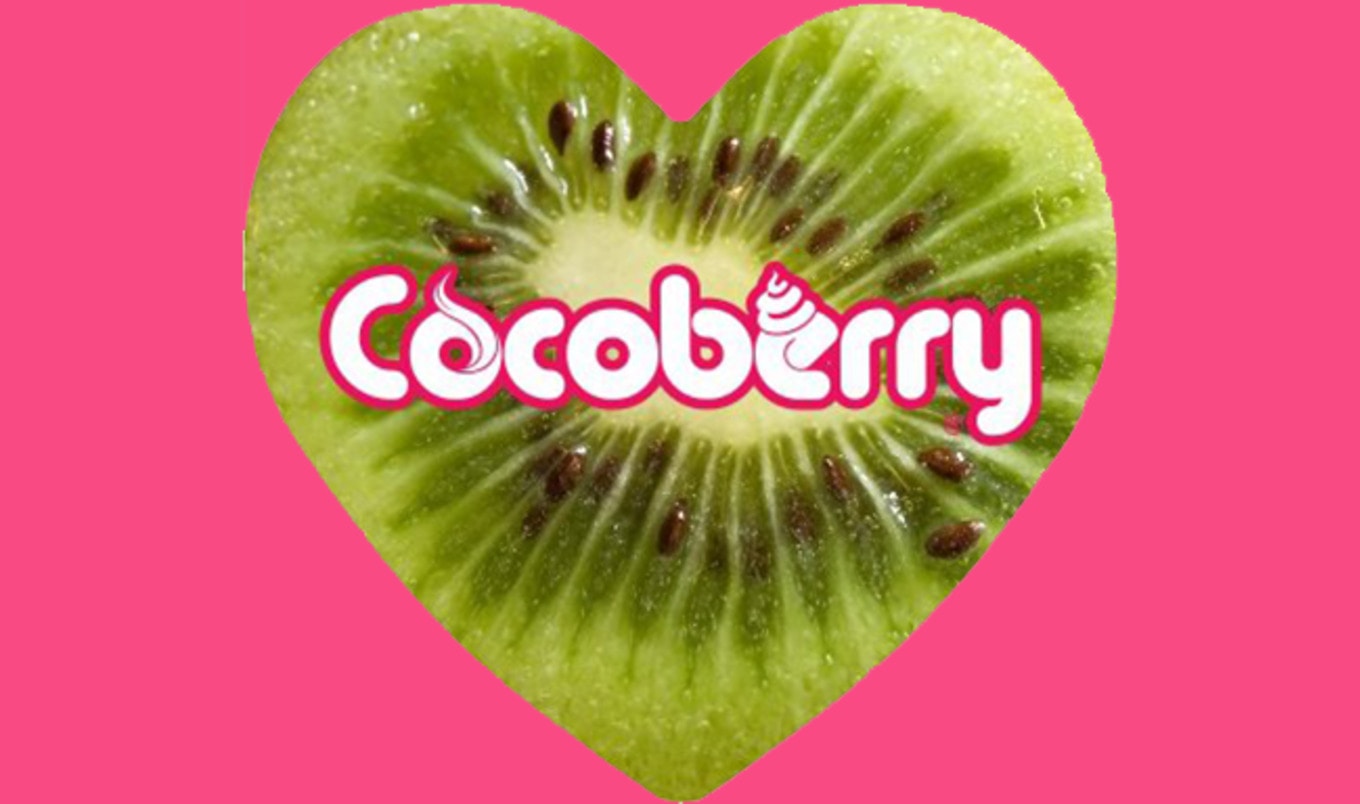 Indian Frozen Yogurt Chain Debuts Five Vegan Flavors