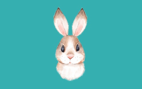 5 Reasons Animal Testing Will Soon Be a Thing of the Past