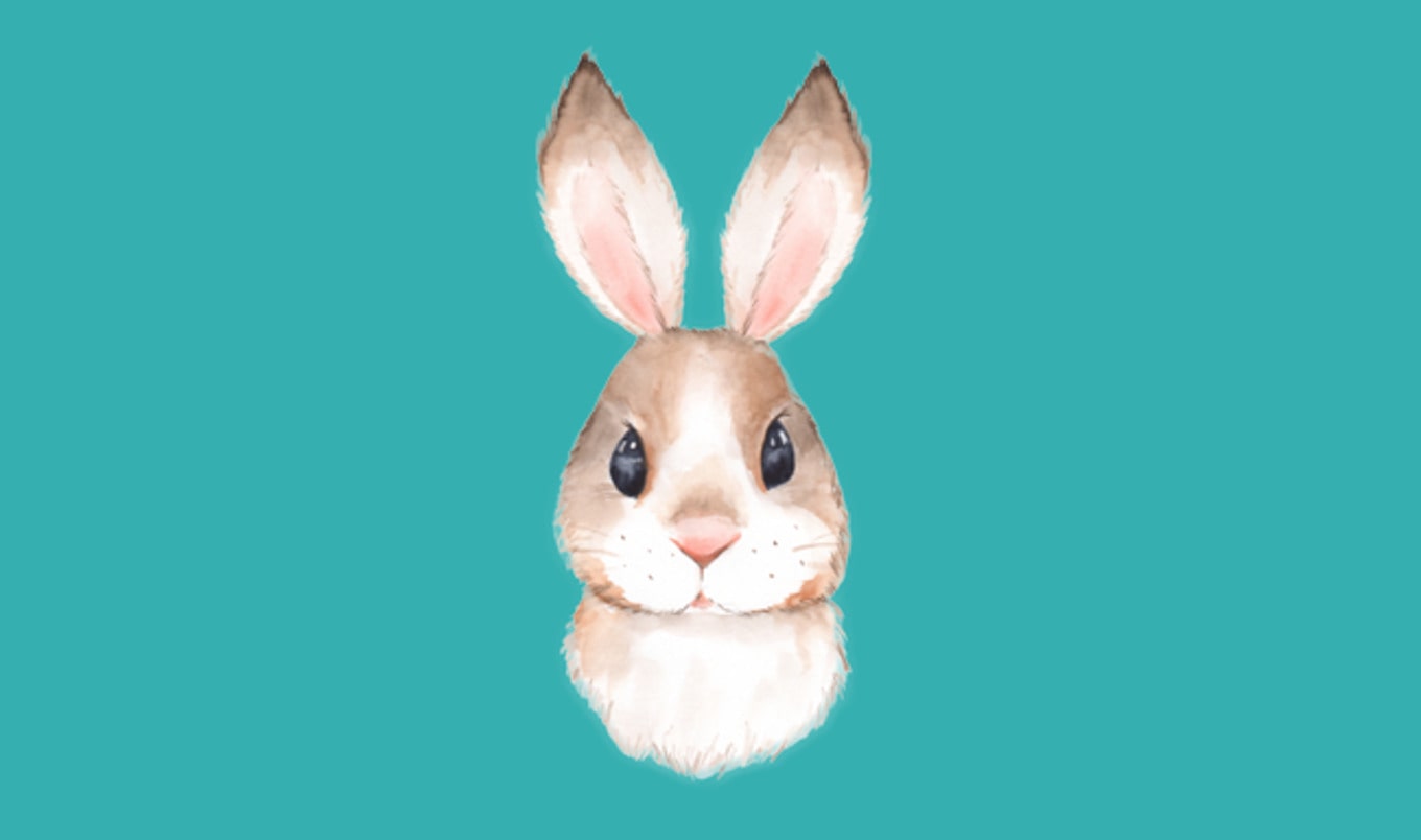 5 Reasons Animal Testing Will Soon Be a Thing of the Past