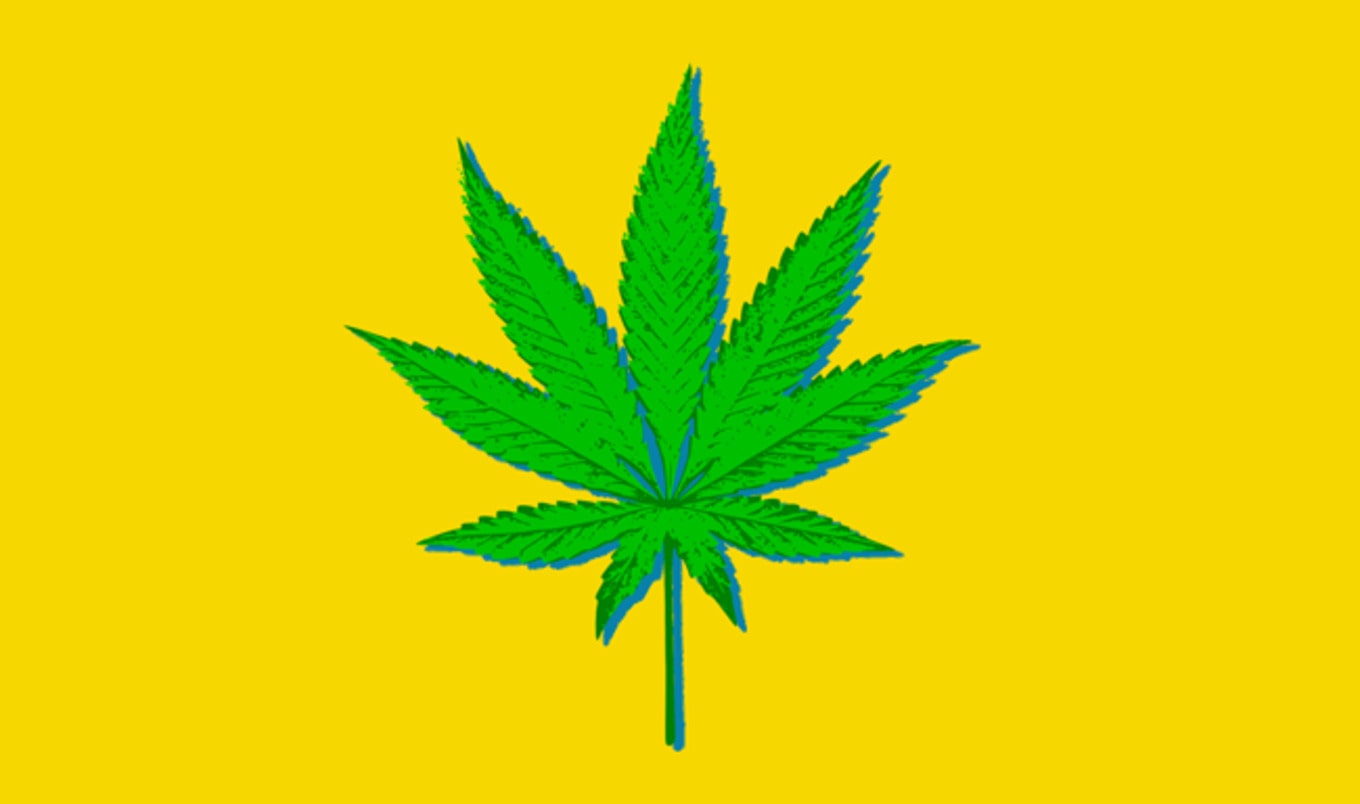 No, Hemp Will Not Get You High. Yes, You Need it Anyway.