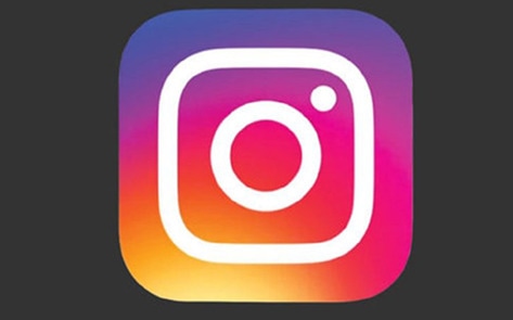 Instagram Creates New Feature to Fight Animal Abuse