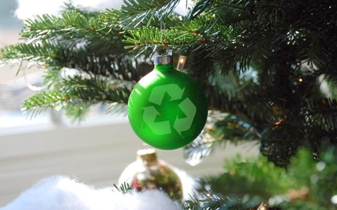 VegNews.EcoChristmas