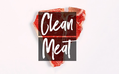 Is So-Called Clean Meat Vegan? Paul Shapiro Has the Answer