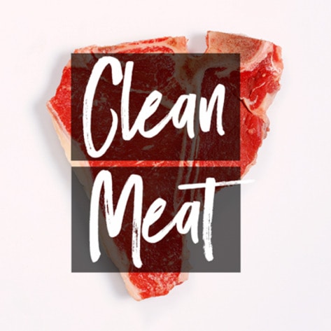 Is So-Called Clean Meat Vegan? Paul Shapiro Has the Answer