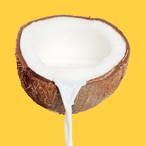 Everything You Need to Know About Vegan Milk