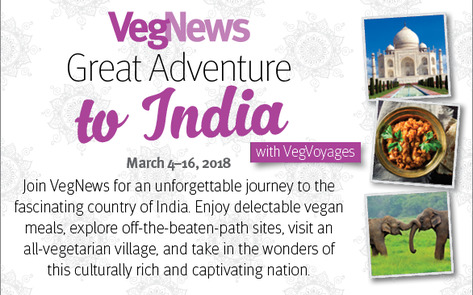 VegNews Great Adventure to India