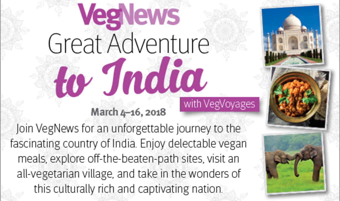 VegNews Great Adventure to India