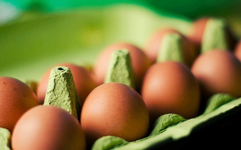 Vegan Egg Replacer Debuts Amidst Surging Egg Prices