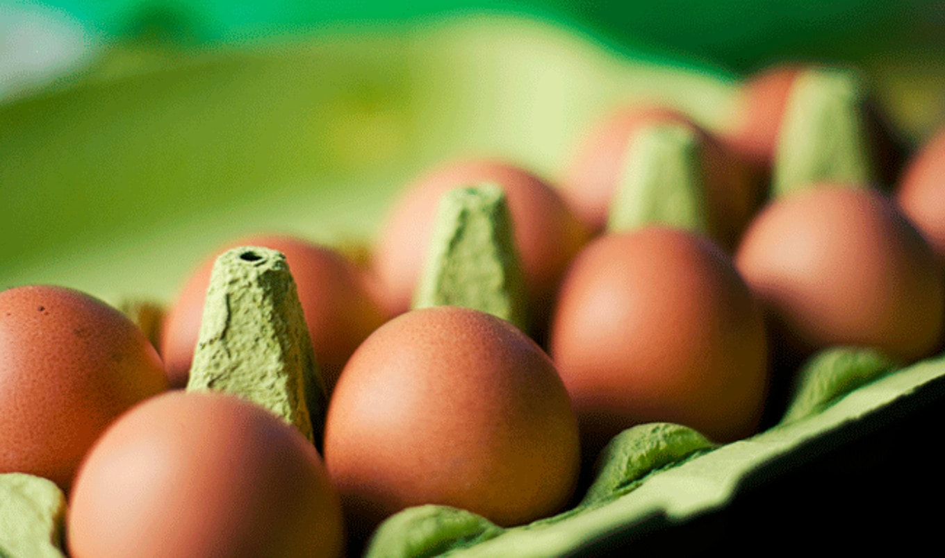 Vegan Egg Replacer Debuts Amidst Surging Egg Prices